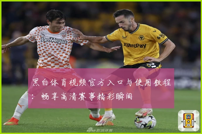黑白体育视频官方入口与使用教程:畅享高清赛事精彩瞬间