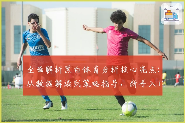 全面解析黑白体育分析核心亮点：从数据解读到策略指导，新手入门的不二选择