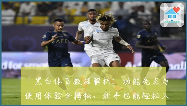 「黑白体育数据解析：功能亮点与使用体验全揭秘，新手也能轻松入门」