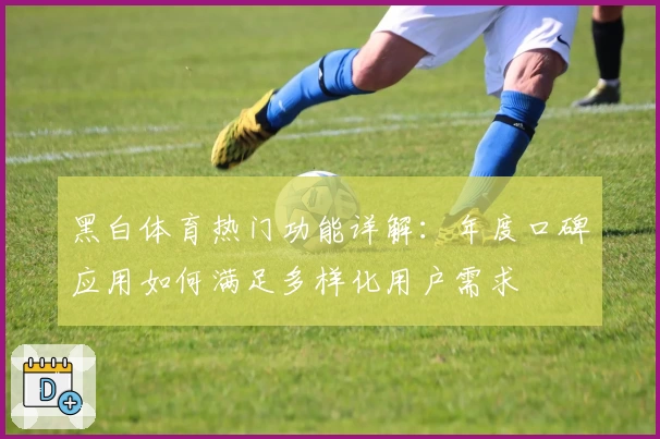 黑白体育热门功能详解：年度口碑应用如何满足多样化用户需求