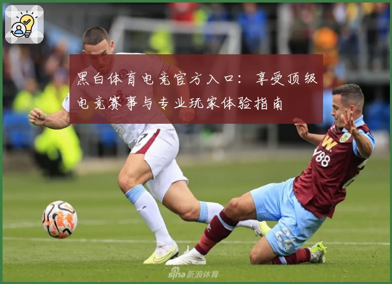 黑白体育电竞官方入口：享受顶级电竞赛事与专业玩家体验指南