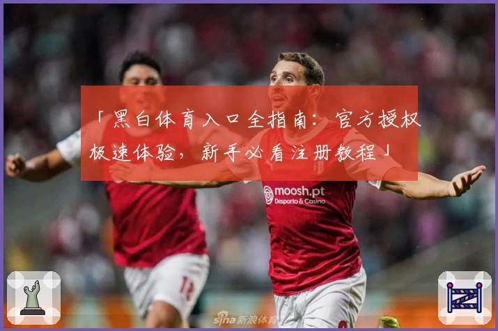 「黑白体育入口全指南：官方授权极速体验，新手必看注册教程」