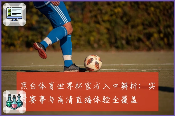 黑白体育世界杯官方入口解析：实时赛事与高清直播体验全覆盖