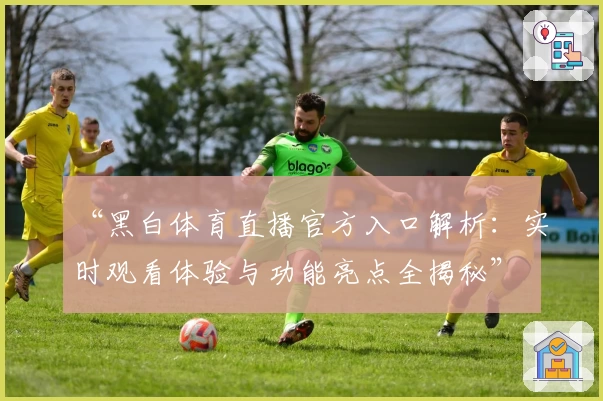 “黑白体育直播官方入口解析：实时观看体验与功能亮点全揭秘”