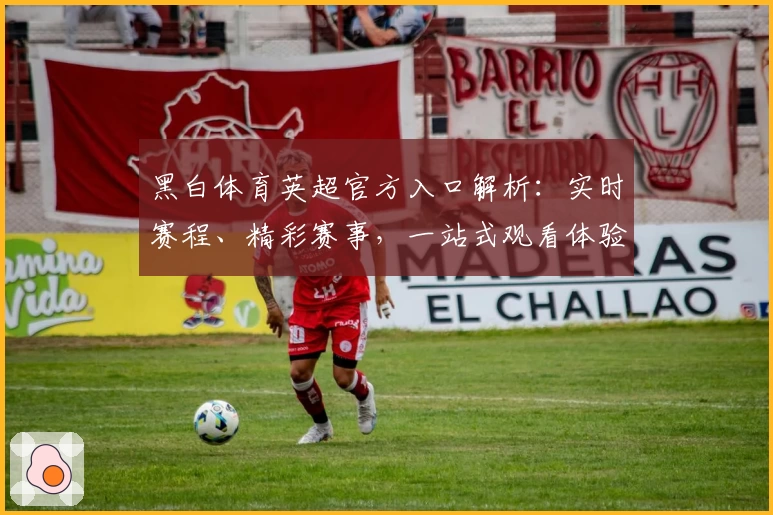 黑白体育英超官方入口解析：实时赛程、精彩赛事，一站式观看体验详解