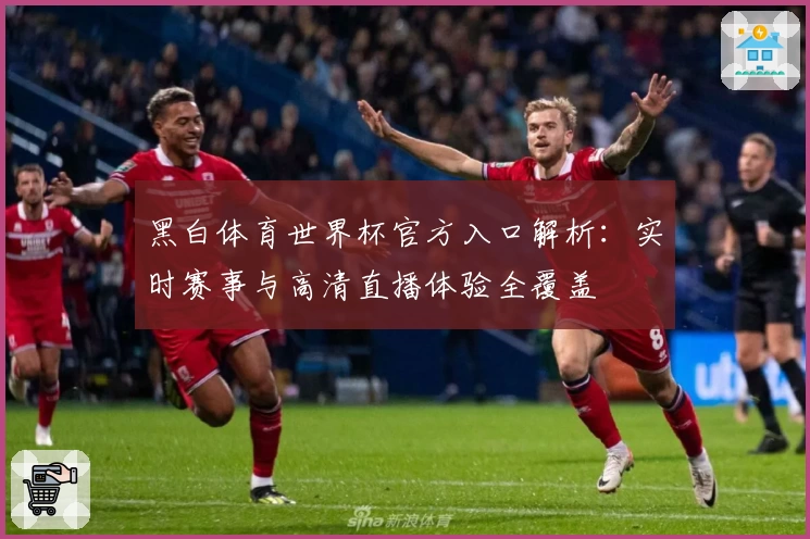 黑白体育世界杯官方入口解析：实时赛事与高清直播体验全覆盖