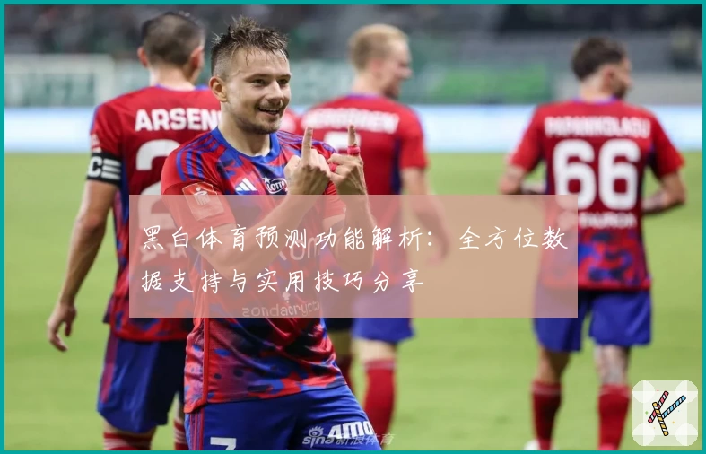 黑白体育预测功能解析：全方位数据支持与实用技巧分享
