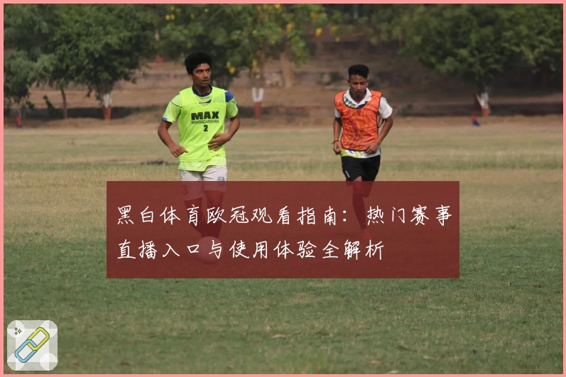 黑白体育欧冠观看指南：热门赛事直播入口与使用体验全解析