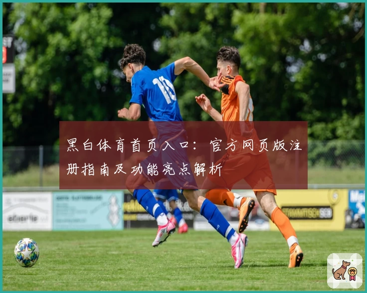 黑白体育首页入口：官方网页版注册指南及功能亮点解析