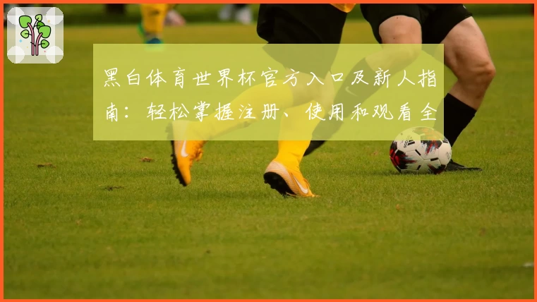 黑白体育世界杯官方入口及新人指南：轻松掌握注册、使用和观看全流程