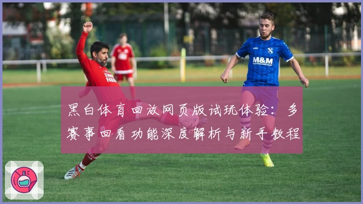 黑白体育回放网页版试玩体验：多赛事回看功能深度解析与新手教程