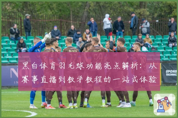 黑白体育羽毛球功能亮点解析：从赛事直播到教学教程的一站式体验