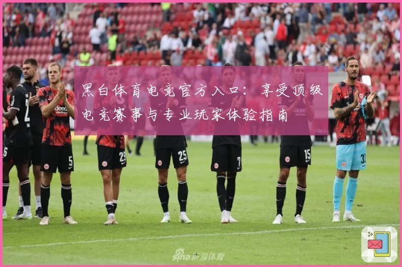 黑白体育电竞官方入口：享受顶级电竞赛事与专业玩家体验指南