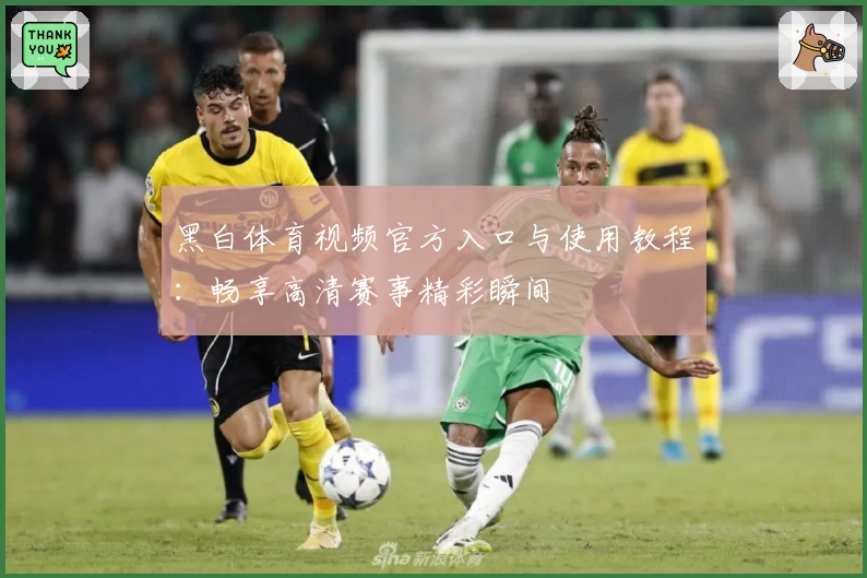 黑白体育视频官方入口与使用教程：畅享高清赛事精彩瞬间