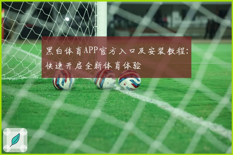 黑白体育APP官方入口及安装教程：快速开启全新体育体验